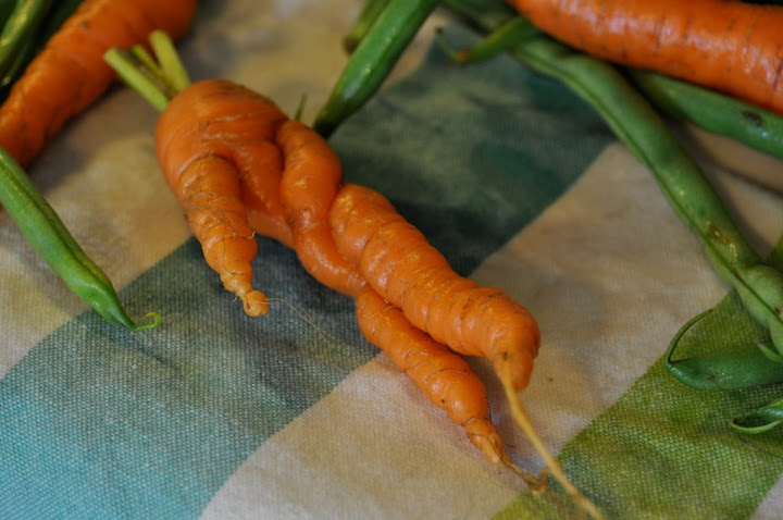 carrot person