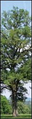2009-12-07_221030