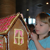Tess House Construction