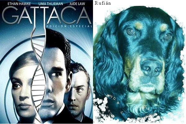 [RufianGattaca[3].jpg]