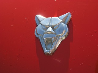CarShows 010
