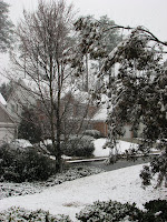 IMG_2913.JPG