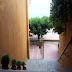 100_7401.jpg