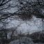 20100110_5115.JPG