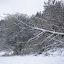 20100110_5132.JPG