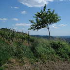 Blick auf das Auerbacher Schloß