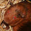 20090614_0267.JPG