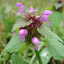 DSC05225.JPG