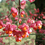 DSC05264.JPG
