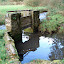 DSC05253_bearbeitet-1.JPG