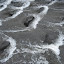 20091213_5036.JPG