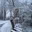 20091213_5035.JPG