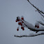 20091213_5043.JPG