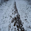 20091213_5052.JPG