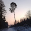 19122009479.jpg