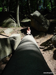 20100605_5901.JPG