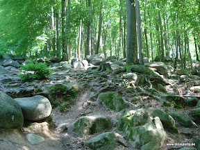 20100605_5905.JPG
