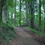Noch ist´s ein Weg!