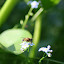 20100719_6353.JPG