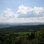 IMG_5135.JPG