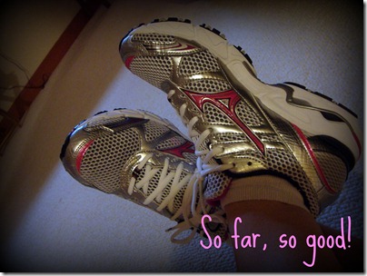 mizunos mizunos