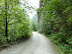 P1000518.JPG