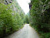P1000519.JPG
