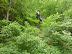 P1000347.JPG