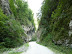 P1000351.JPG