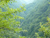 P1000744.JPG