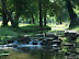 Parcul-Nicolae-Romanescu 1.jpg