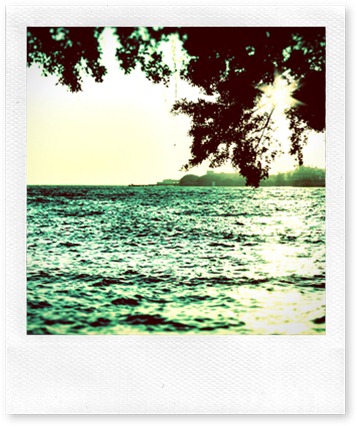 1544_LOMO_1