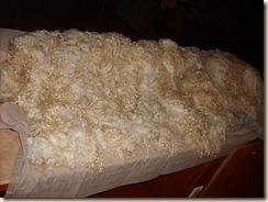 SD530086