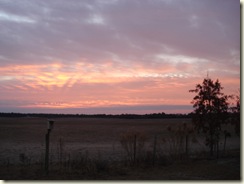 DSC09847