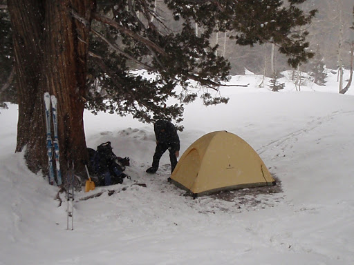 It snowed all day and into the night, but we found bare ground under the giants near the Shadow Lake trail junction | Photo Sung Byun
