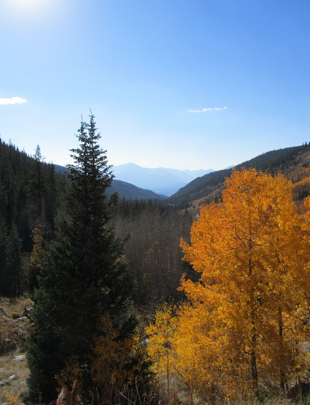 IMG_1026.jpg fall colors on weston pass in colorado