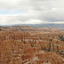 11-PN-13.JPG
