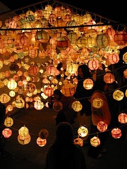 [Lotus Lantern Festival[5].jpg]