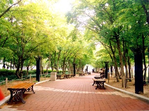 Daegu Gukchae-bosang Memorial Park 01