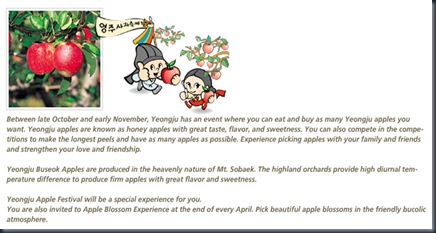yeongju apple festival