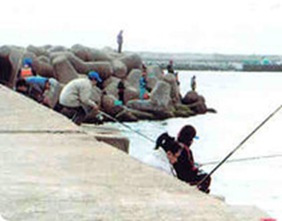 Pohang Guryongpo Port Fishing Ground