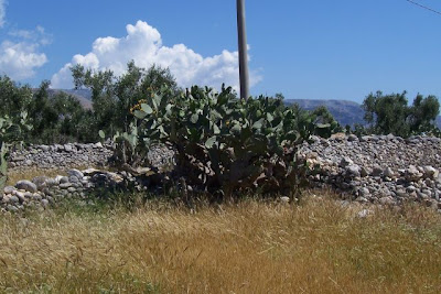 Manfredonia, Antica costruzione rurale