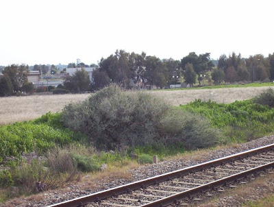 Manfredonia, Binari presso Siponto