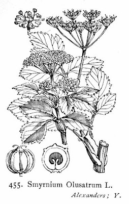 Alexanders Alexanders