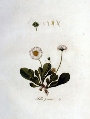 Tausendsch�n