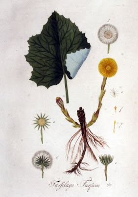 Farfugio