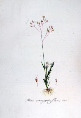 Pabbio