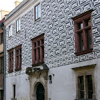 P1000813.JPG