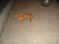 DSC01525.JPG