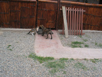 IMG_2672.JPG